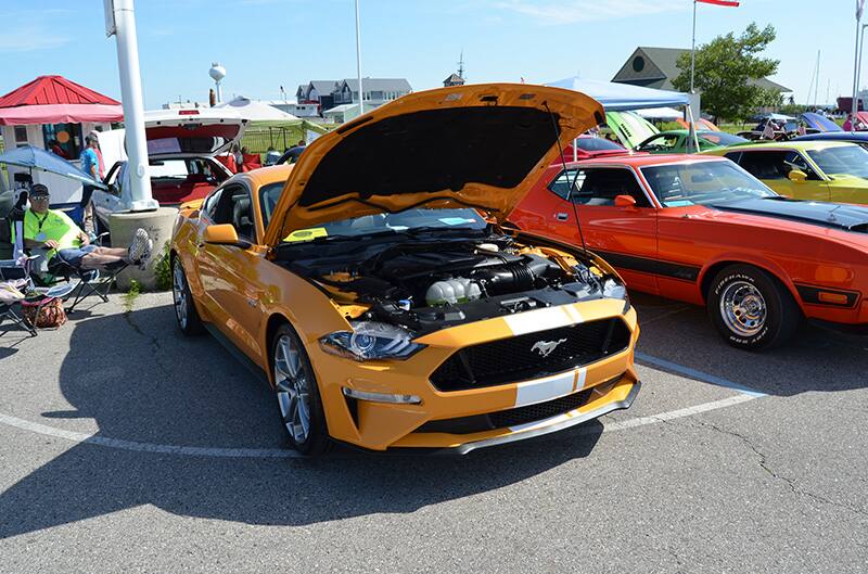 Mackinaw Mustang Stampede